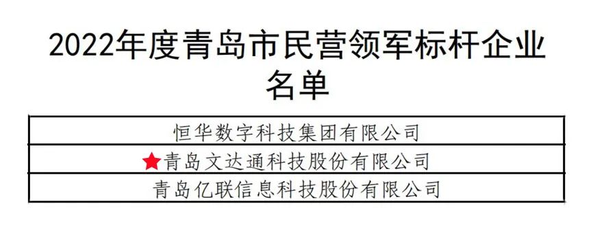 文达通民营领军标杆企业.jpg